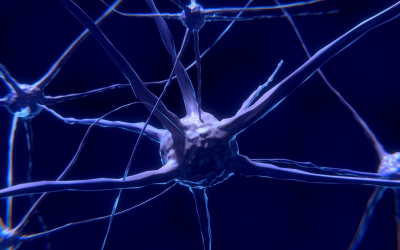 Sistema Nervoso Autonomo