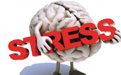Cos’è lo “STRESS”?