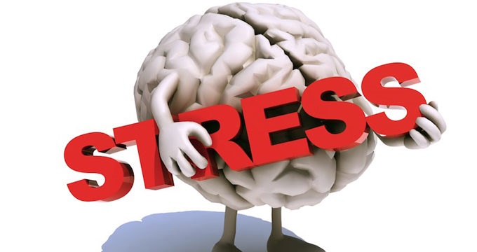 Cos’è lo  “STRESS”?
