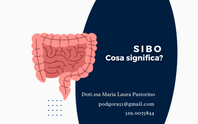 S.I.B.O.