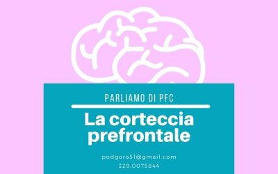 La corteccia prefrontale