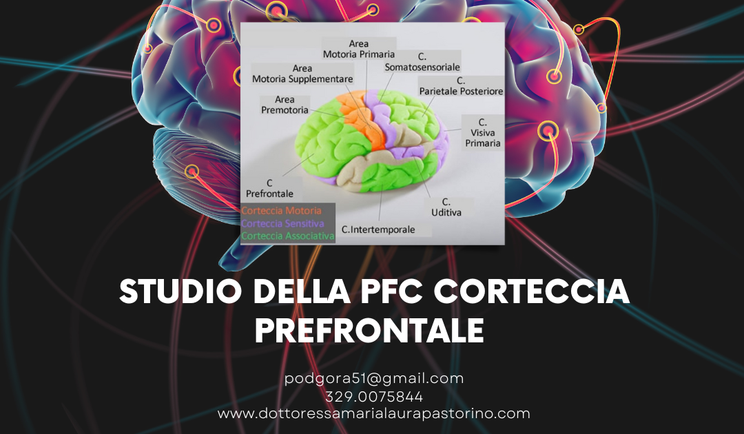 Studio della PFC Corteccia prefrontale