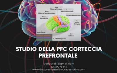Studio della PFC Corteccia prefrontale