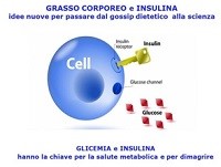 Insulina 1