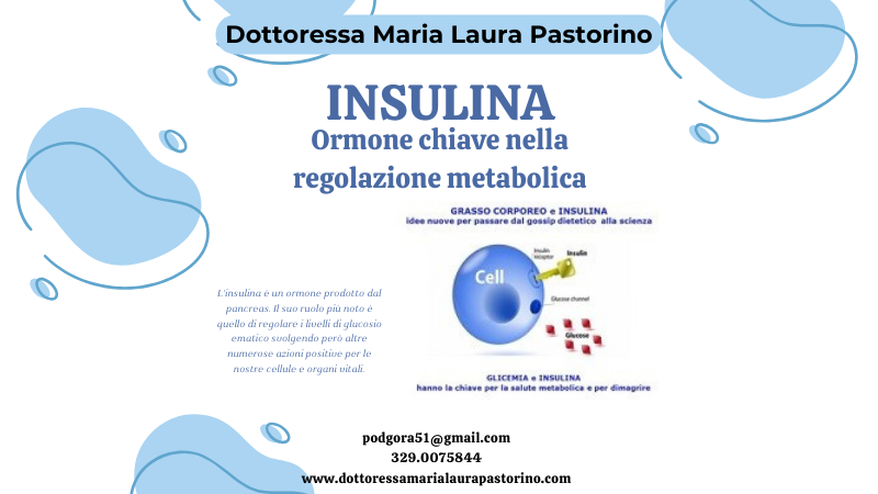 Insulina, ormone chiave nella regolazione metabolica