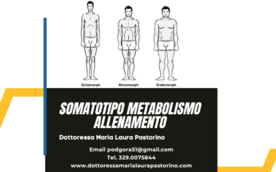 Somatotipo, metabolismo e allenamento