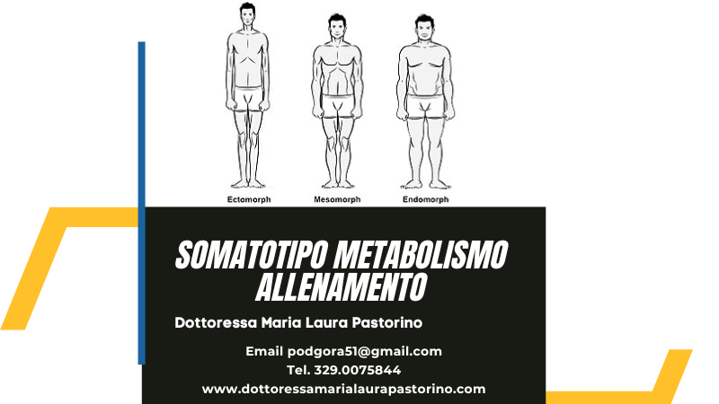 Somatotipo, metabolismo e allenamento