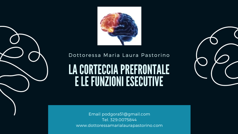 La corteccia Prefrontale e le Funzioni Esecutive