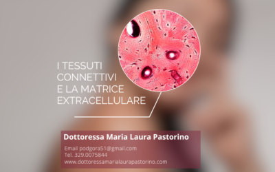 I tessuti connettivi e la matrice extracellulare